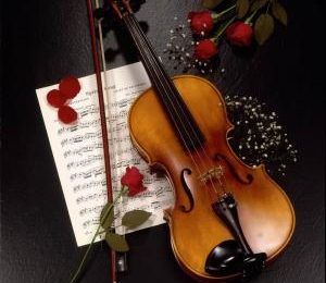 Học đàn Violin tại nhà Hà Nội