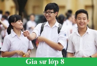 Dạy kèm môn Văn lớp 8 tại Hà Nội